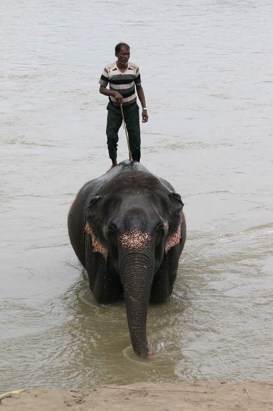 India & Nepal 2011 - 0571
